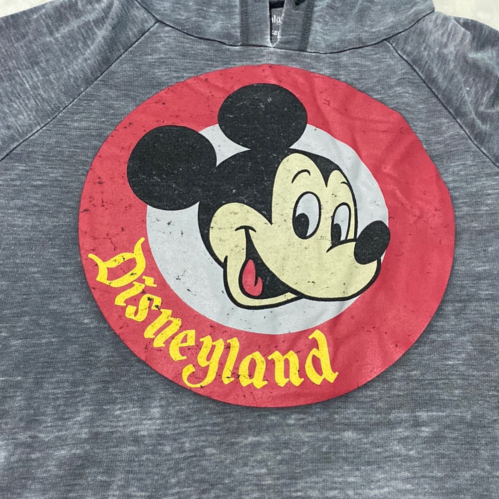 Disneyland Hooded Sweatshirt